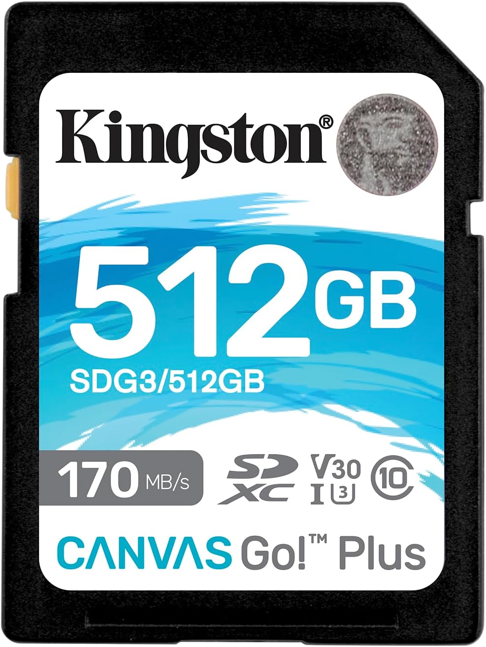 Kingston Canvas Go Plus SDXC Memory Card Gen4 200MB/s C10 UHS-I U3 V30 (SDG4)