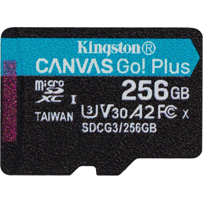 KIN-SDG3/256GB-S
