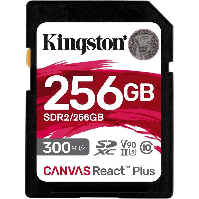 KIN-SDR2/256GB-S
