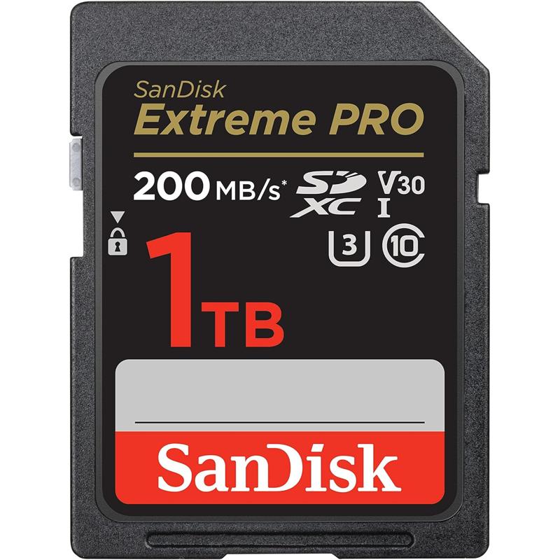 SDSDXXD-1T00-GN4IN