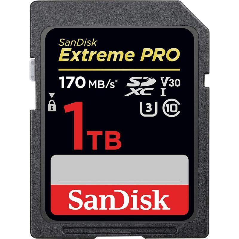 SDSDXXY-1T00-GN4IN