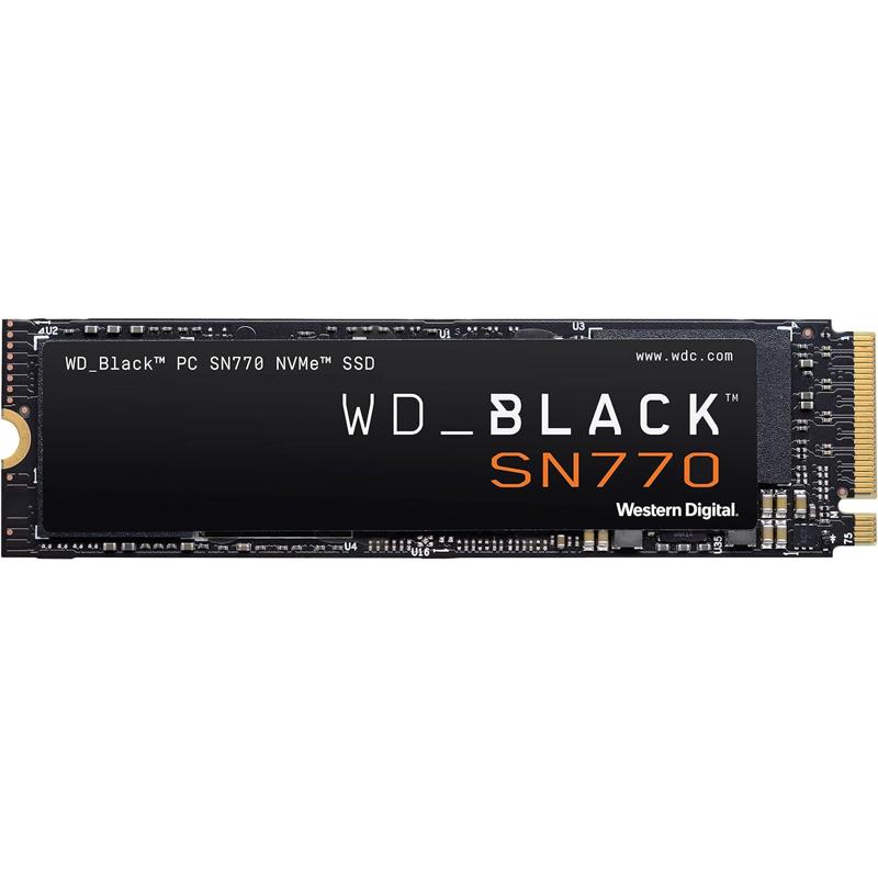WDS200T3X0E