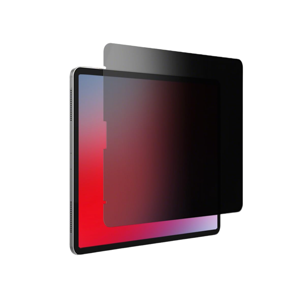 Sview 2way Privacy Screen Protector for iPad 10 (2018-2023) - Anti-Spy, Anti Blue Light, Anti-Scratch, Anti UV Privacy Filter (SPFHC2)