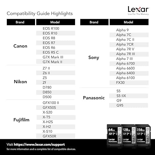 Lexar Professional 1667X SDXC Uhs-II/U3 Card (LSD-CBNA1667)