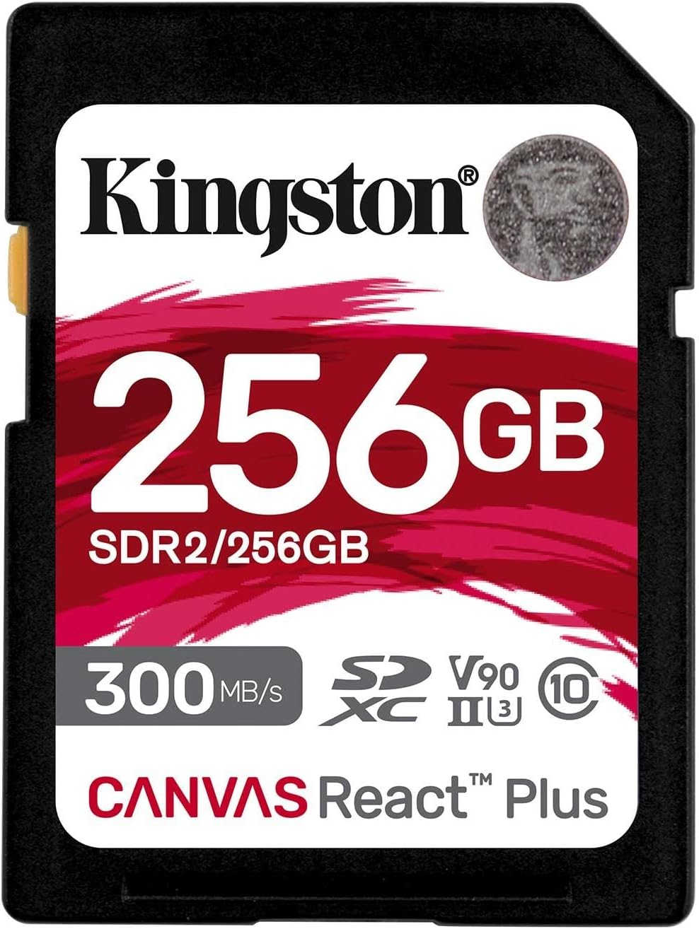 SDR2/256GB