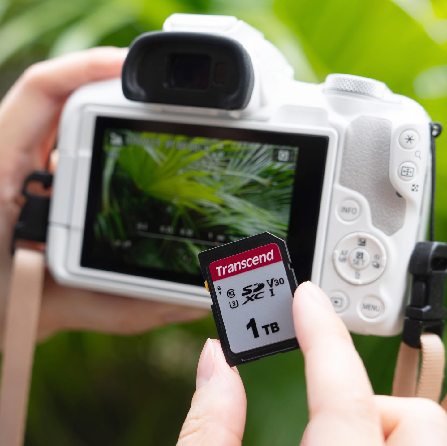 Transcend SDHC Memory Card (TS-SDC300S)