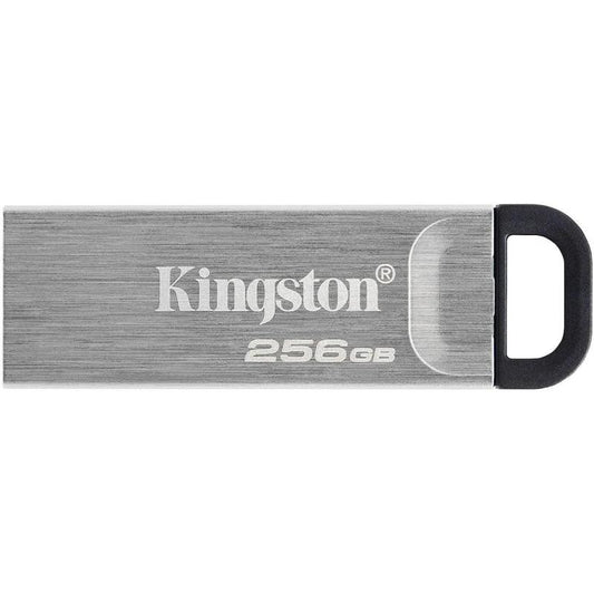 KIN-DTKN/256GB-S