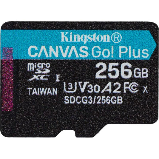 KIN-SDG3/256GB-S