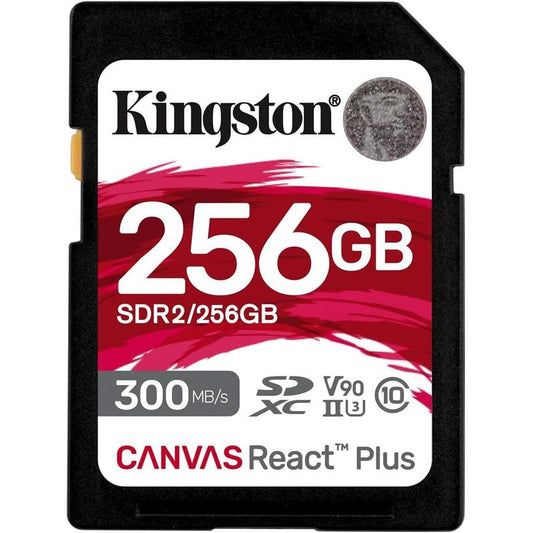 KIN-SDR2/256GB-S