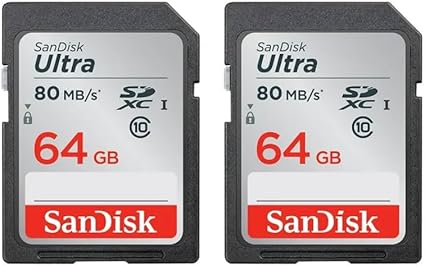 SanDisk Ultra Class 10 SDHC UHS-I Memory Card Up to 80MB, Grey/Black (SDSDUNC-GN6IN)