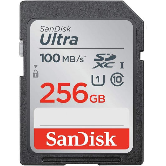 SDSDUNR-256G-GN6IN