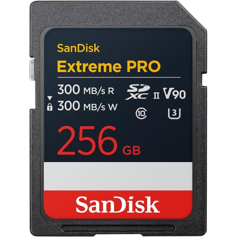 SAN-SDSDXDM-256G-GN4IN-S