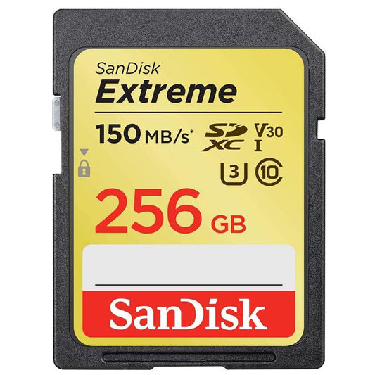 SDSDXV5-256G-GNCIN