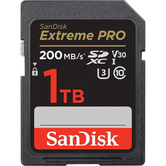 SDSDXXD-1T00-GN4IN