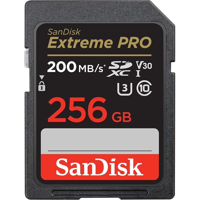 SAN-SDSDXXD-256G-GN4IN-S1