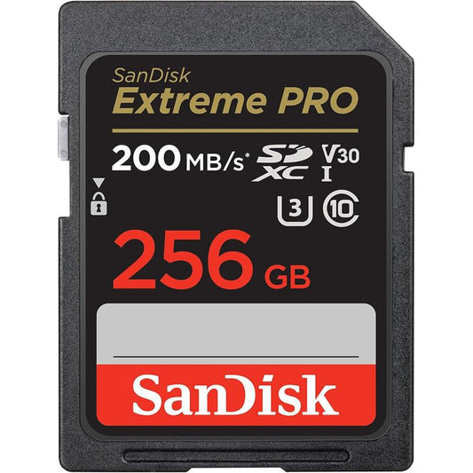 SAN-SDSDXXD-256G-GN4IN-S1