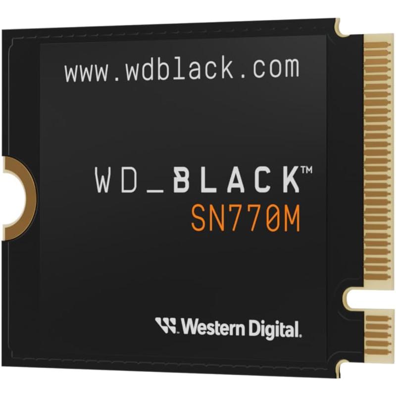 WES-WDS100T3X0G-L